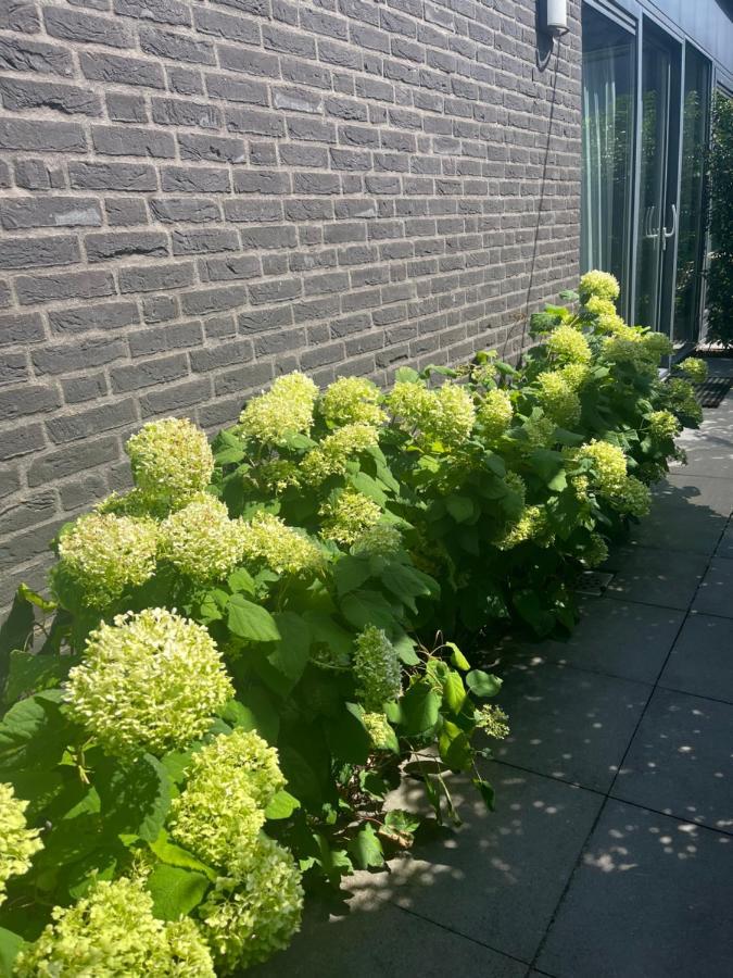 Huisje36 Middelburg Exteriör bild